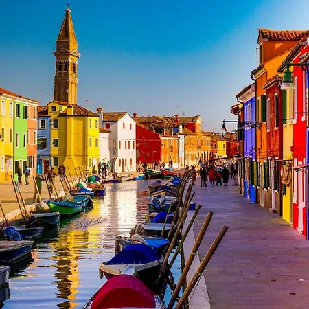 In 35831 * ביביונה