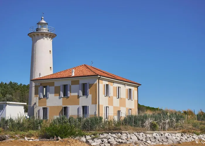 In 35831 ביביונה